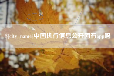 淮南中国执行信息公开网有app吗