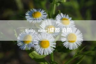 淮南成都 消防