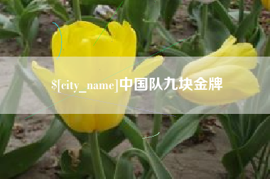 淮南中国队九块金牌