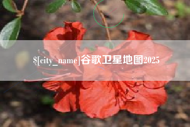 淮南谷歌卫星地图2025