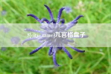 淮南九宫格盘子