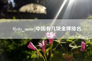 淮南中国有几块金牌排名