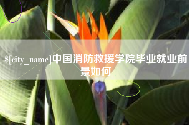 淮南中国消防救援学院毕业就业前景如何