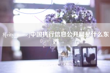 淮南中国执行信息公开网是什么东西