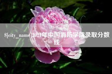淮南2021年中国消防学院录取分数线