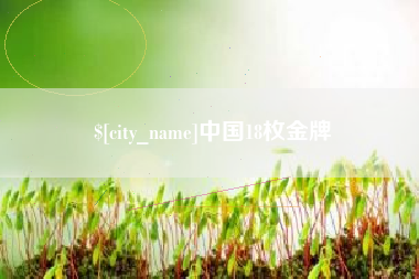 淮南中国18枚金牌