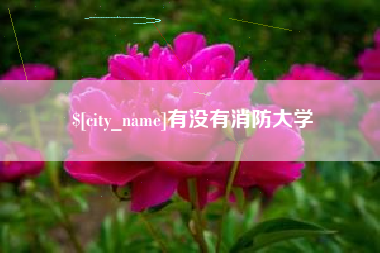 淮南有没有消防大学