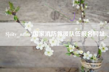 淮南国家消防救援队伍报名网址