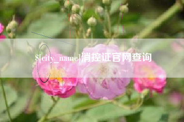淮南消控证官网查询
