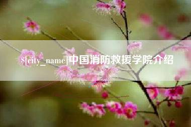 淮南中国消防救援学院介绍