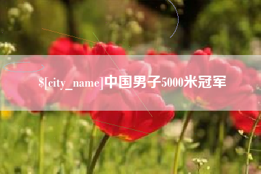 淮南中国男子5000米冠军