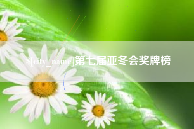 淮南第七届亚冬会奖牌榜