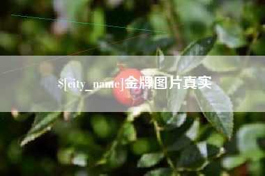 淮南金牌图片真实