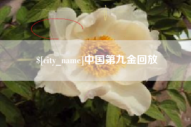 淮南中国第九金回放