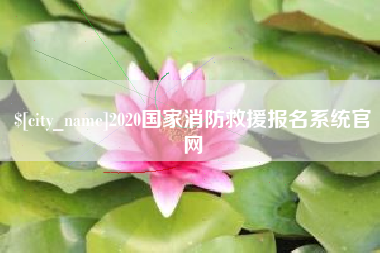 淮南2020国家消防救援报名系统官网
