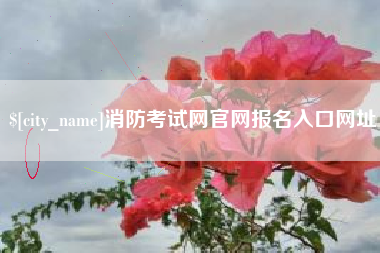淮南消防考试网官网报名入口网址