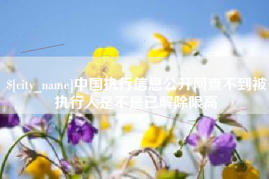 淮南中国执行信息公开网查不到被执行人是不是已解除限高