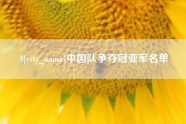 淮南中国队争夺冠亚军名单