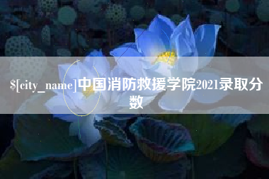 淮南中国消防救援学院2021录取分数