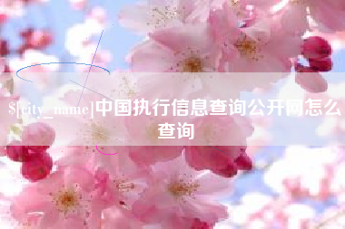 淮南中国执行信息查询公开网怎么查询
