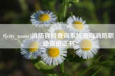 淮南消防官网查询系统查询消防职业资格证书