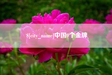 淮南中国9个金牌