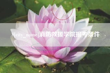 淮南消防救援学院报考条件