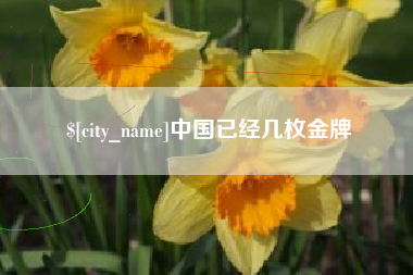 淮南中国已经几枚金牌