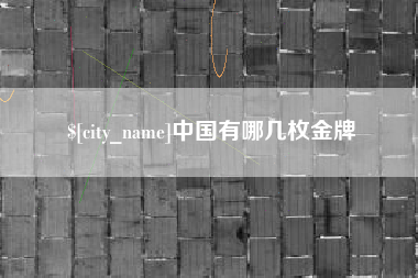 淮南中国有哪几枚金牌