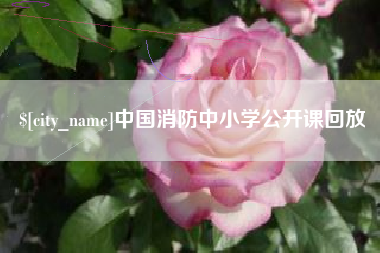 淮南中国消防中小学公开课回放