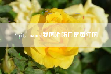 淮南我国消防日是每年的