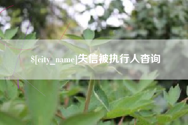 淮南失信被执行人杳询