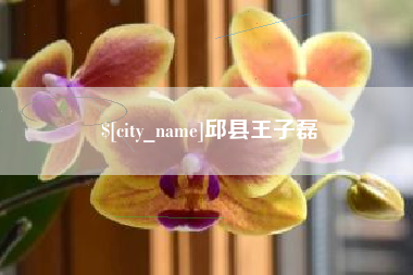 淮南邱县王子磊