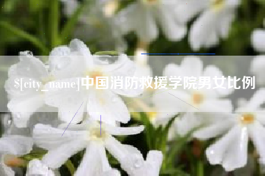 淮南中国消防救援学院男女比例