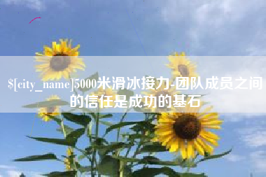 淮南5000米滑冰接力-团队成员之间的信任是成功的基石
