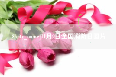 淮南11月9日全国消防日图片