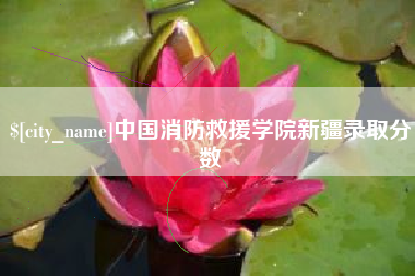 淮南中国消防救援学院新疆录取分数