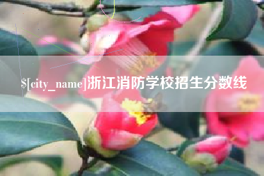 淮南浙江消防学校招生分数线