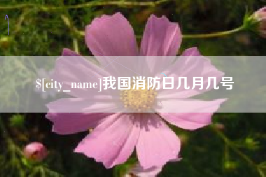 淮南我国消防日几月几号
