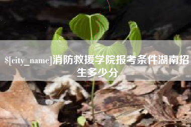 淮南消防救援学院报考条件湖南招生多少分