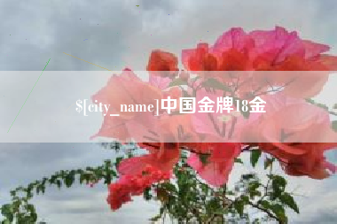 淮南中国金牌18金