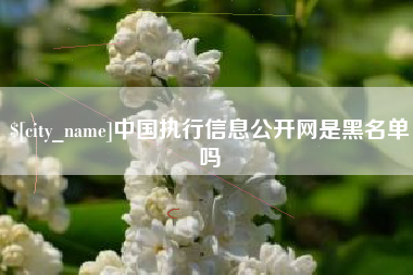 淮南中国执行信息公开网是黑名单吗