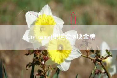 淮南奥运会39块金牌