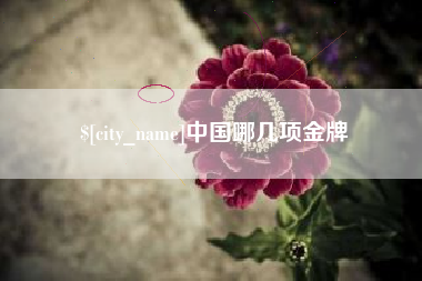 淮南中国哪几项金牌