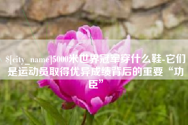 淮南5000米世界冠军穿什么鞋-它们是运动员取得优异成绩背后的重要“功臣”