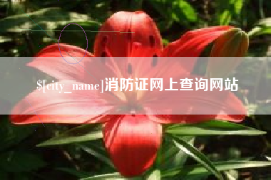 淮南消防证网上查询网站