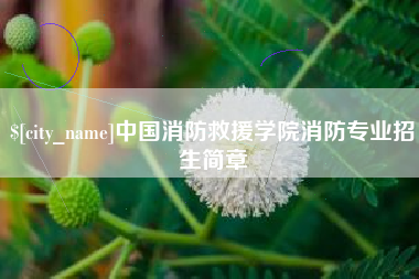 淮南中国消防救援学院消防专业招生简章