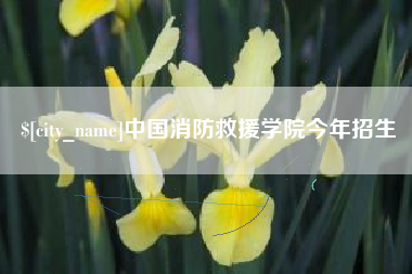 淮南中国消防救援学院今年招生