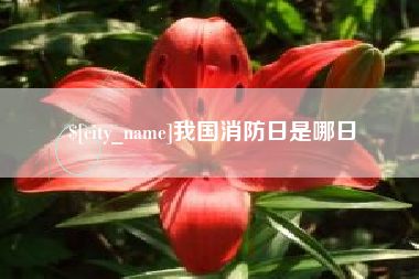 淮南我国消防日是哪日