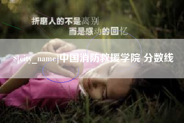 淮南中国消防救援学院 分数线